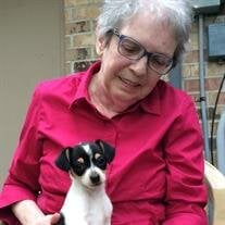 Sue Coughlin Craven