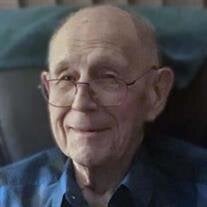 Robert W. Swart