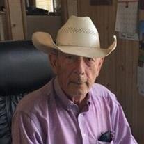 Leon D. Nikkel