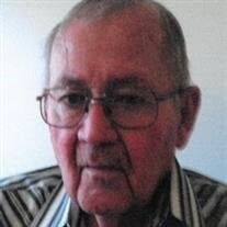 Arelie E. Schmidt