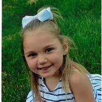Brynleigh DiAnn Jean Steimel