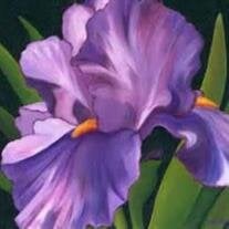 Anne Rattray Morin