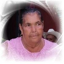 Elvia Amezcua Cuevas