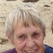 Mary Ann Perrin