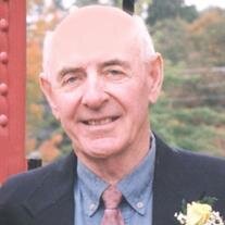 Benjamin Stein Jr