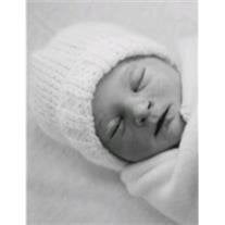 Violet Rose Pinette