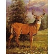Earl Forrest Hart
