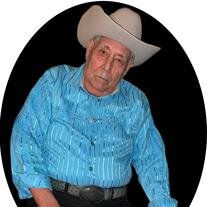 GUADALUPE TERRAZAS