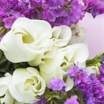 Marlene Fielden Allsup Cochran