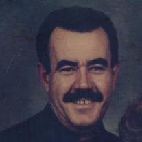 Mr. David L. Holmes