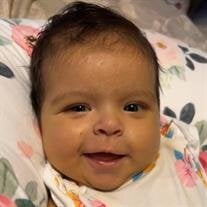 Chloe Faye Bradford