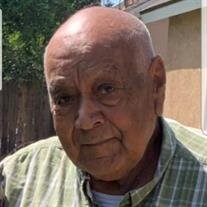 Ray Joe Flores Castro