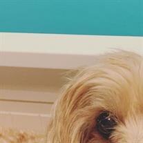 Molly