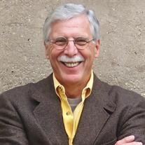 Carlo F. Viola Jr.