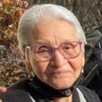 Virginia Gomez Valdez