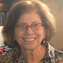 Susan (Suzy) Zipkin