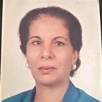 Amalia Salib Arsanious