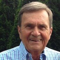 Louis Peter Cecchini
