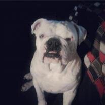 Ghost Mann