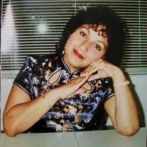 Iris E. Velazquez Soler