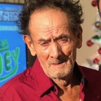 Mr. Nestor Palacios Veldano