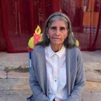 Calzoncit Escobar