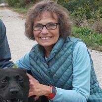 Carol A. Shulfer