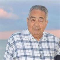 Mr. Raul Peña Montez