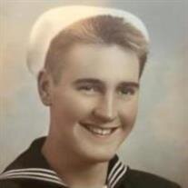 Carl Allan Jacobson