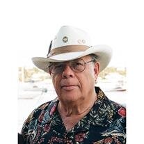 Melvyn O. Levine
