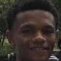 Gregory J. Carrroll Jr.