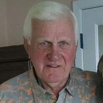 Dale Warren Lommen