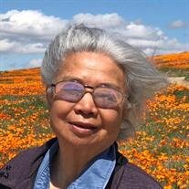 Mrs. Hetian Lu of Long Grove