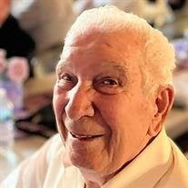 Domenic Francis Lesandrini