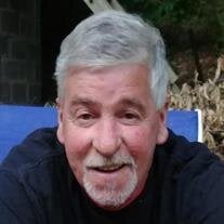Mr. Michael D. Shea