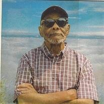 Mr. Roy Lee Ford Jr.