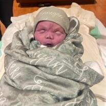 Finnegan Lee Ball