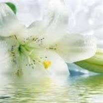 Phyllis Trower