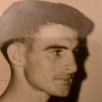 Ronald  John  Nettles 