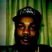MR. ANDRE ROLLINS
