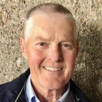 Mr. Barry Hergert