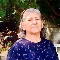 Carmen Avila Ochoa