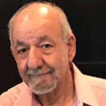 Miguel Canavati Assaf