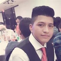 Rovebin Mayco Domingo Bravo
