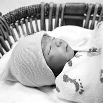 Amari Prince Aleman