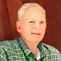 Ronald J. Miketa
