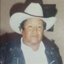 Jose Luis Castillo-Frausto
