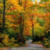 James (Jimmy) Walker