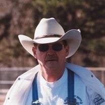 Mr. Henry Grady Fuller Jr.