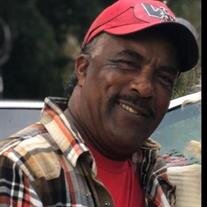James Woodrow Williams Sr.